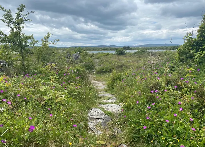 Luxury Glamping Dome With Views Of The Burren