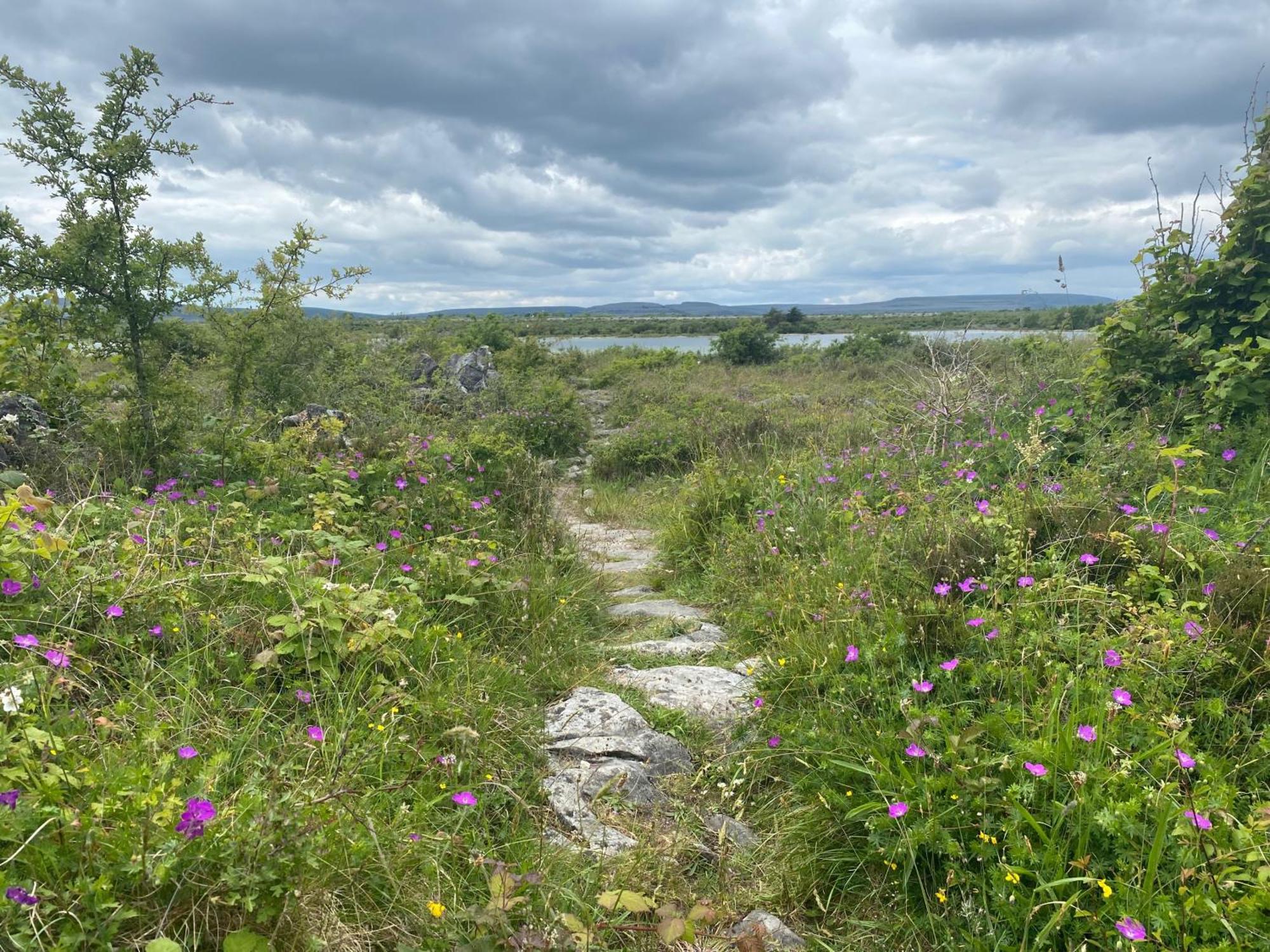 Luxury Glamping Dome With Views Of The Burren Boston